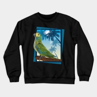 red-bellied macaw Crewneck Sweatshirt